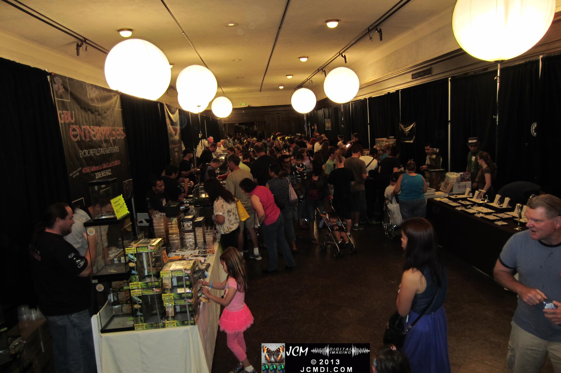 LANHM Bug Fair 2013 crowds and displays